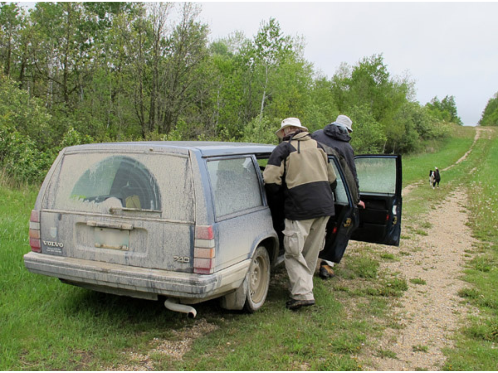 Two individuals getting into a car on the same side. The car is very dirty and dusty, and on a road worn into a grassy-stretch. A dog approaches from in front of the car.