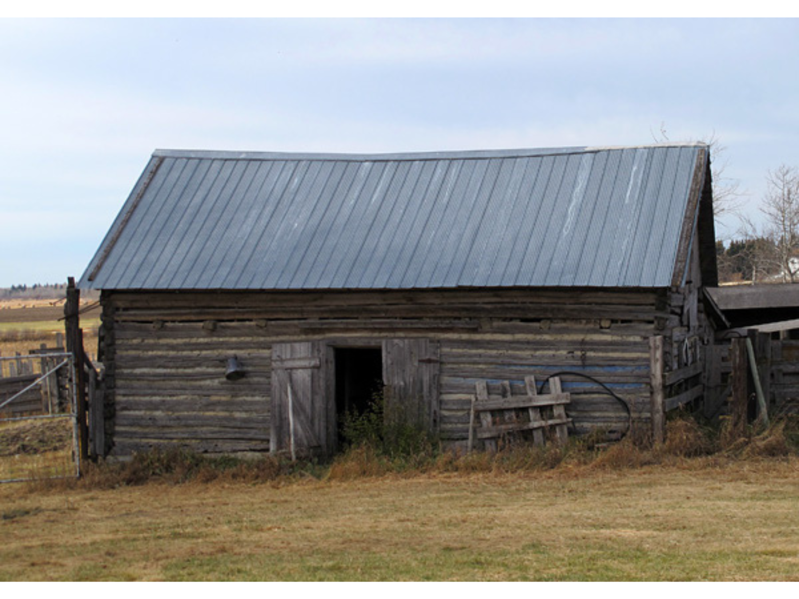 An old farm building with a metal roof and wooden walls and doors. On of the two double doors is open, revealing overgrown grass creeping inside.