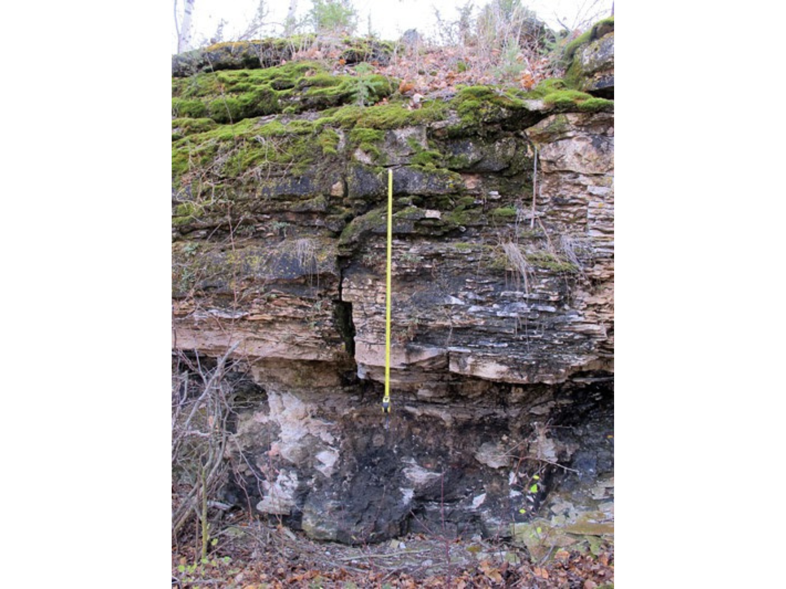 A rock wall with moss and lichen growing along the top. In the centre a tape measure hangs from a ridge, extending the length of the centre third of the wall.