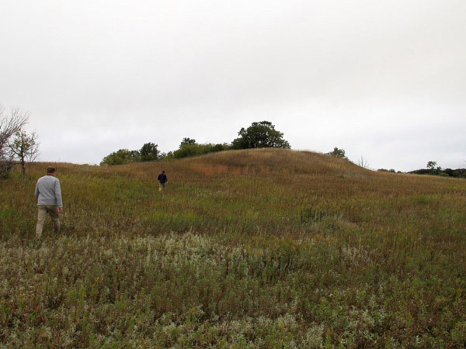 Two individuals trekking through tall grass towards a distinct mound in the land.