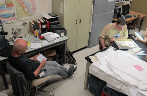 Two individuals each working at desks. One looks through paperwork while the other examines a specimen in a collections box.