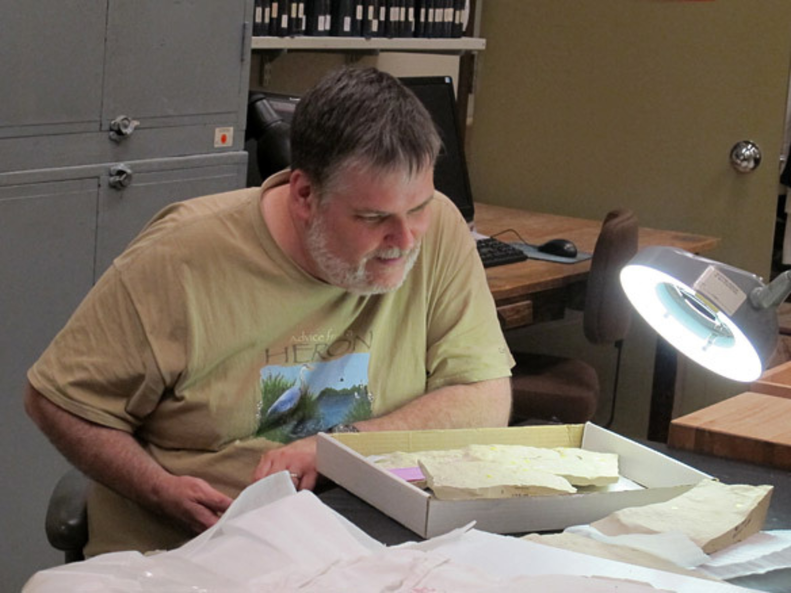 An individual examining a specimen un a collections box under a bright ring light.