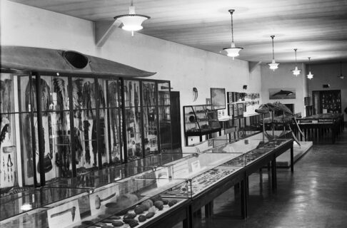 Black and white image of museum display cases showcasing various Indigenous artifacts, including a kayak.