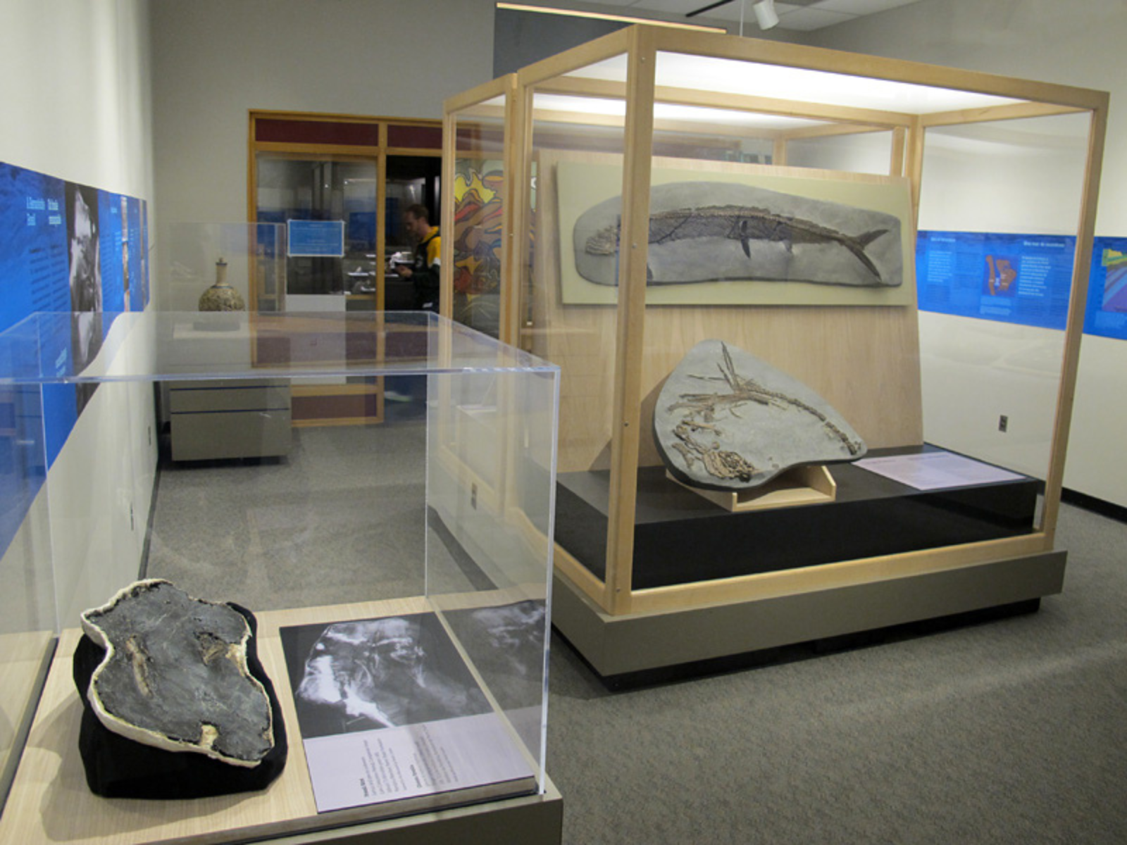 View of temporary exhibit from the back of the room, with four display cases visible.