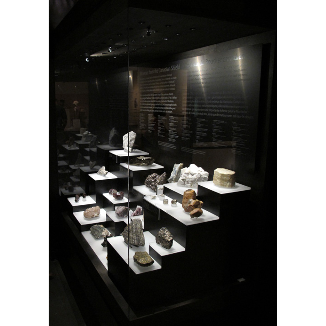 An exhibit case with multi-levelled shelves displaying various minerals, brightly lit.