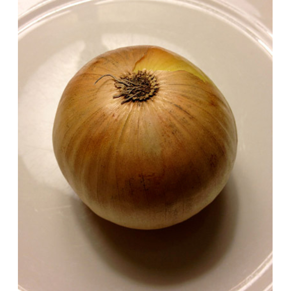 A whole onion upside-down on a plate.