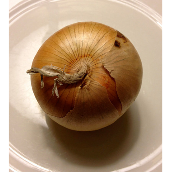 A whole onion upright on a plate.