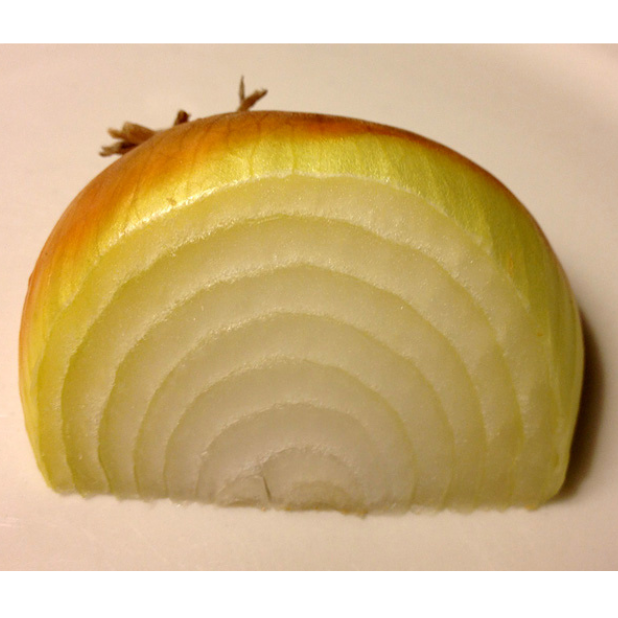 A wedge of an onion sliced to show its many layers.