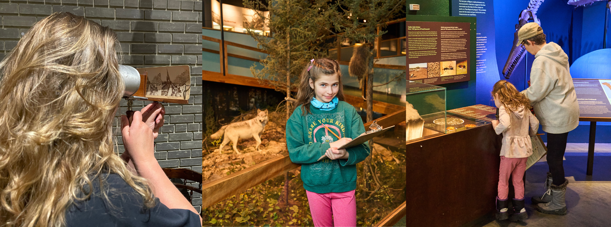 Three photos side by side. On the left an individual from behind through a stereoscope lens at a vintage image. In the centre, a child holding a clipboard and a pencil while standing in front of the Museum's wolf den diorama. On the right, two children, one of whom is holding a clipboard, leaning over to look at an exhibit in the Earth History Gallery.