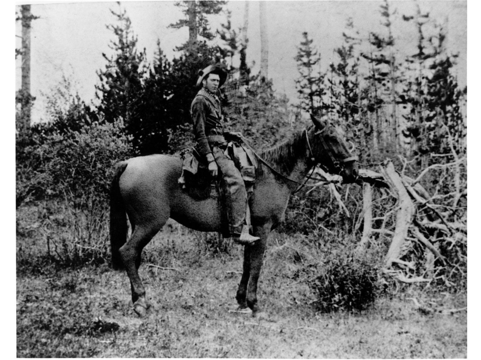 A black and white photo of an individual on horseback in front of a wooded area.