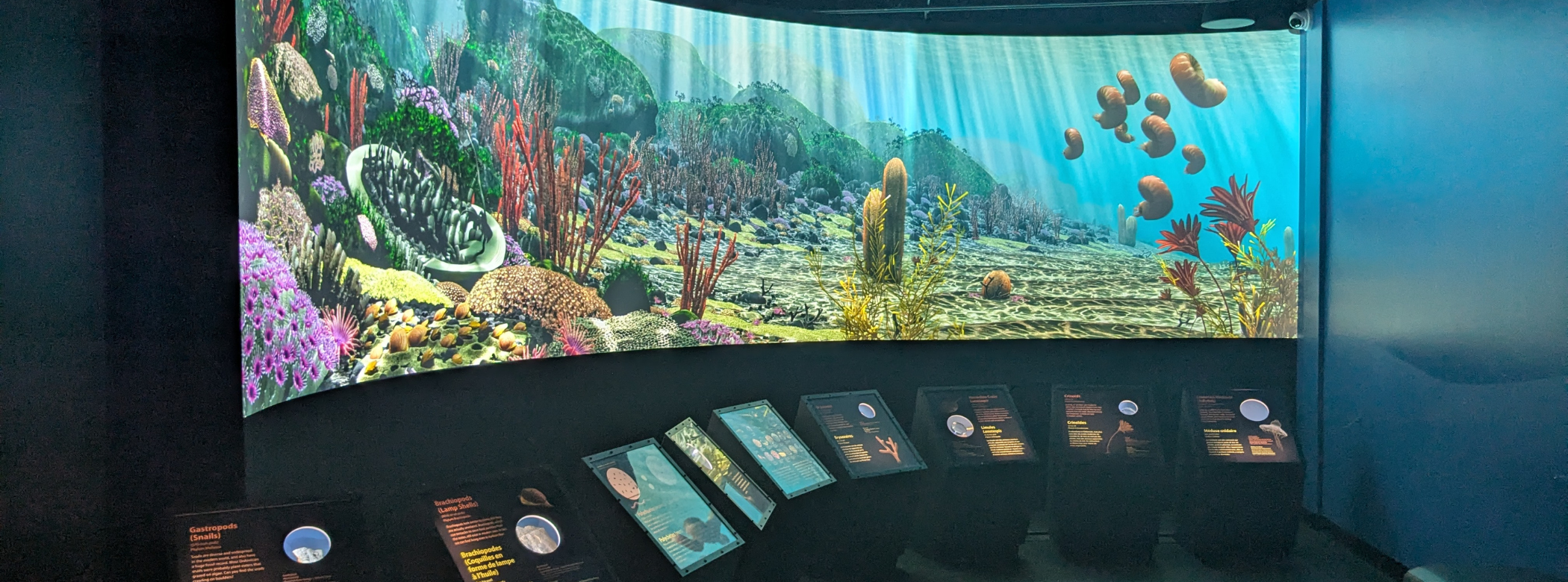 The Ancient Seas exhibit, showing a large curving monitor with an animated sea scape representing the tropical ocean that once covered much of Manitoba. Boulders covered in colourful corals and algae give way in the foreground to more open areas where cephalopods with coiled shells swim. Below the screen are small cases, text, and graphics.