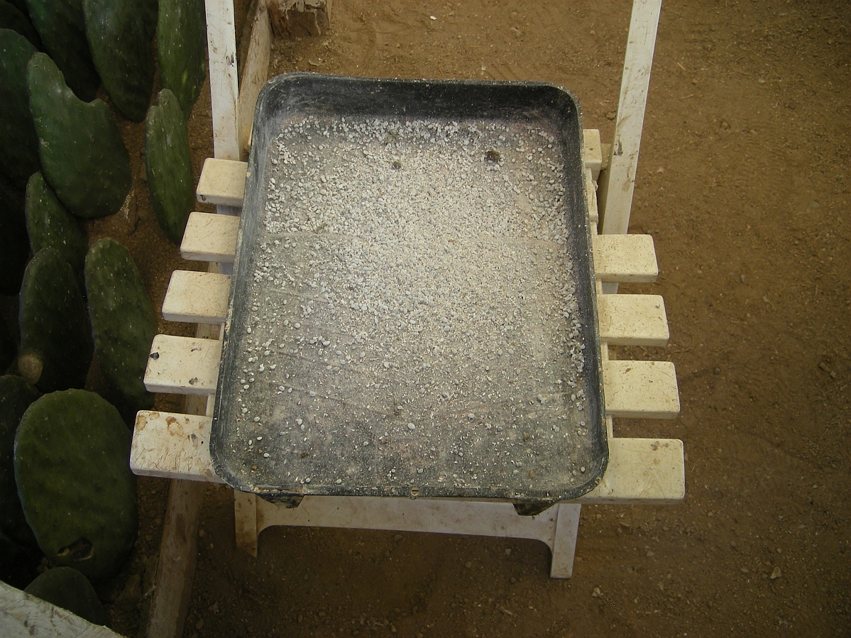 A collection tray placed on a folded chair. The dark-coloured tray holds what looks like a white powder.