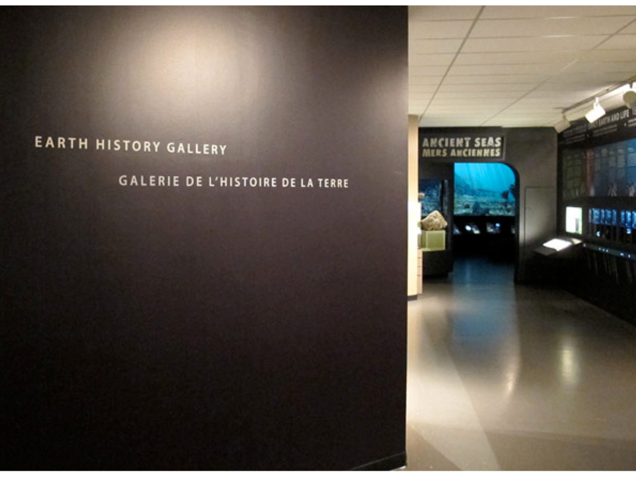 Close-up on the gallery name Earth History Gallery on the wall at the entrance to the gallery.