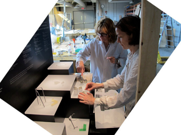 Two individuals wearing white lab coats place specimen mounts in an open display case.