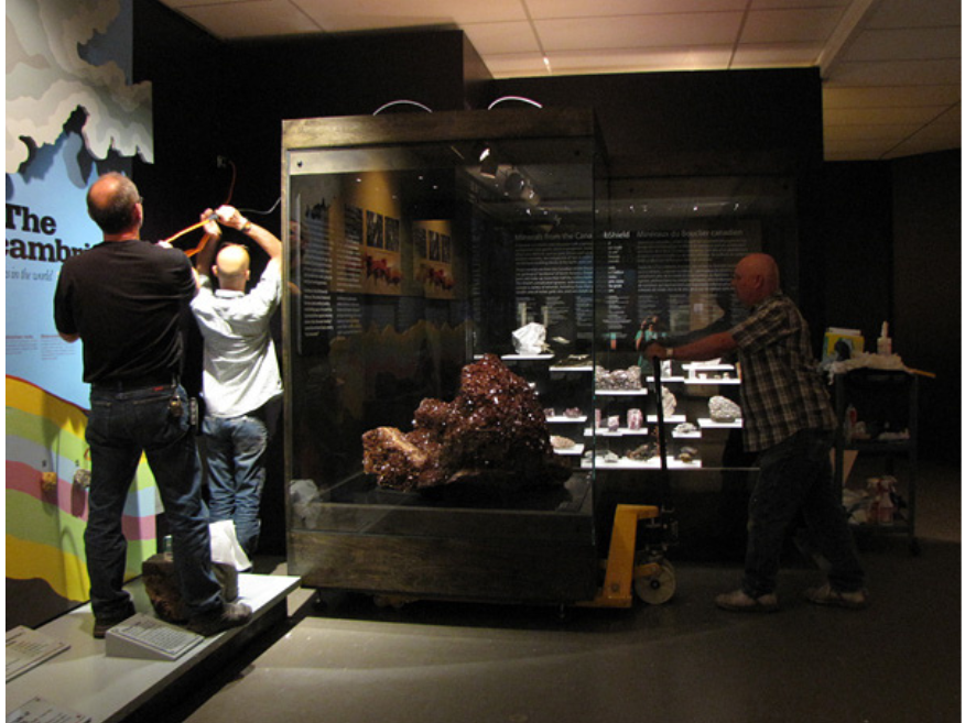 Three individuals work together to move a display case containing a large amethyst into place in the Earth History Gallery.