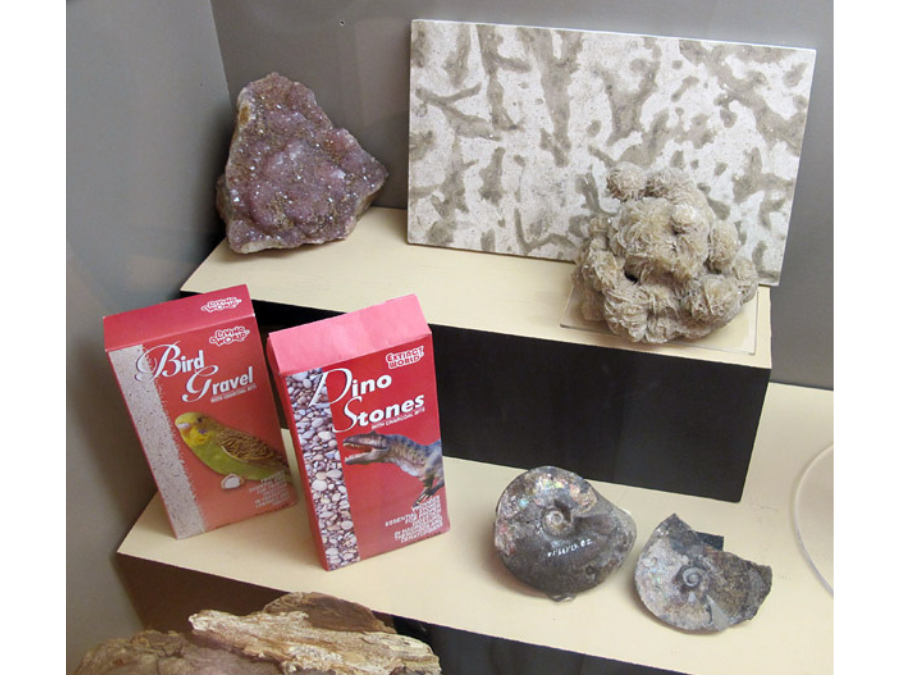 Close up in a display case showing a number of mineral specimens and two red boxes labelled "dino stones".