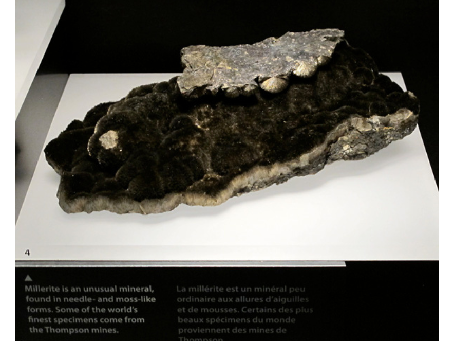 A millerite specimen - a moss like mineral of a dark colour.