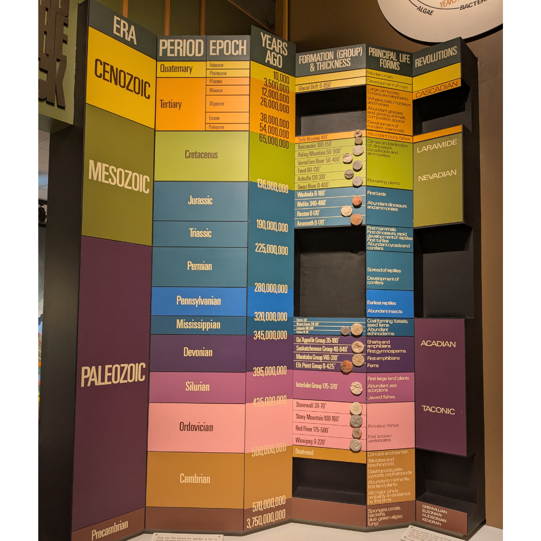 A large, multicoloured board with the names of different intervals of geologic time. Each one represented in Manitoba is associated with a piece of rock from that age.