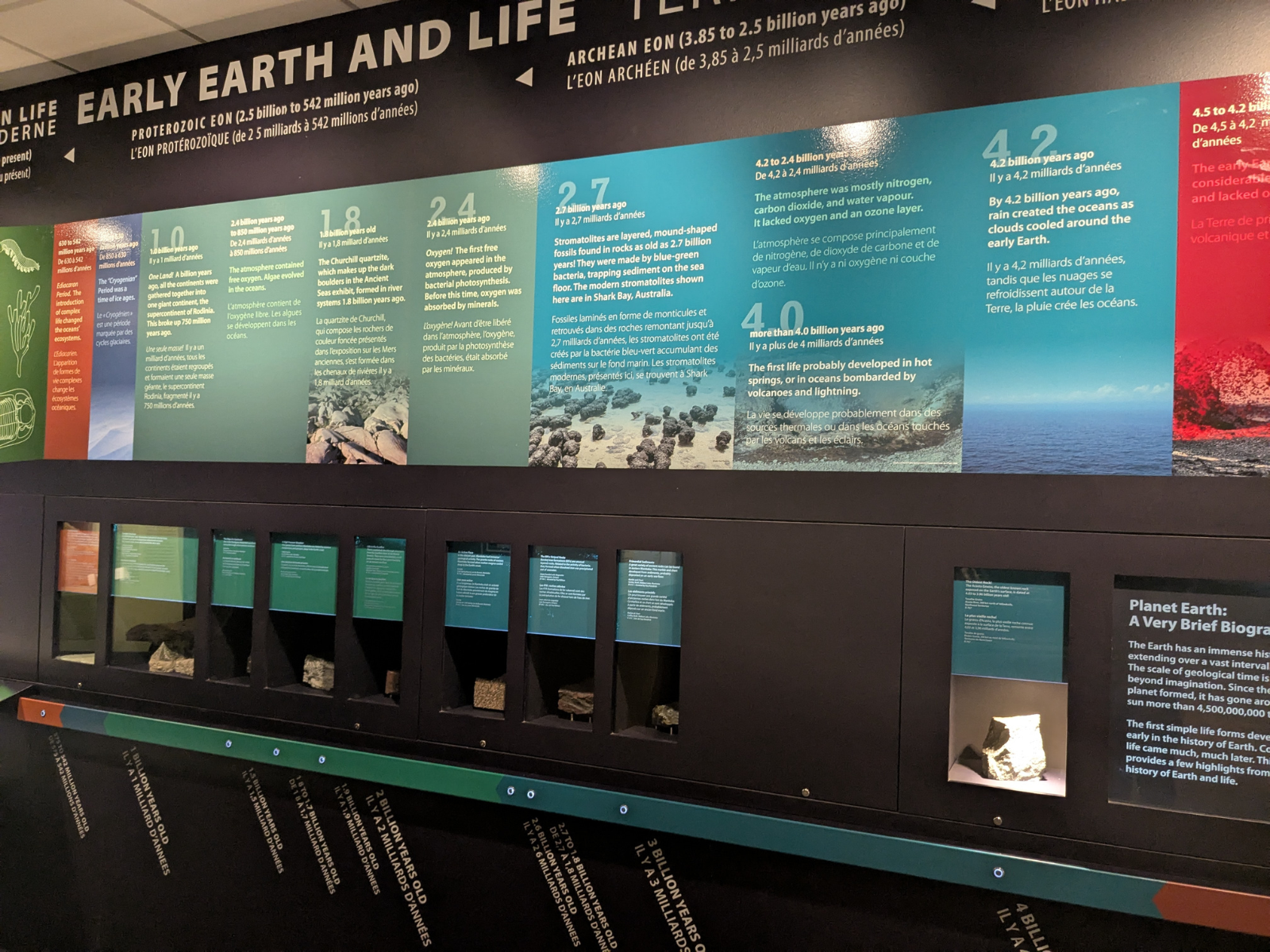 An exhibit case in the Earth History Gallery with several specimens arranged along a timeline.