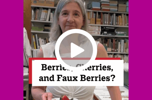 A screenshot of a video, an individual stands in a museum lab holding a side plate with a selection of berries on it. There's a play button over the screenshot and overlaid text reads, "Berries, Cherries, and Faux Berries?".