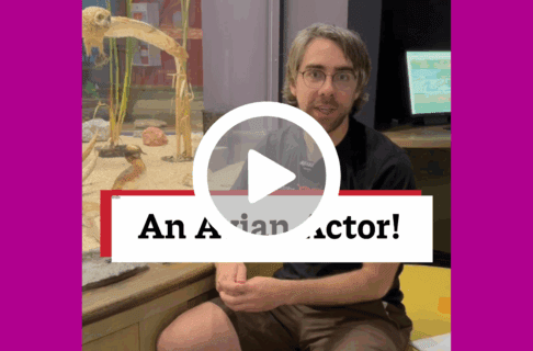 A screenshot of a video, an individual sits in front of an exhibit case in the Parklands Gallery. There's a play button over the screenshot and overlaid text reads, "An Avian Actor!".