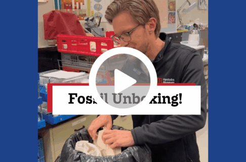 A screenshot of a video, an individual unwraps bundled objects in a bucket. There's a play button over the screenshot and overlaid text reads, "Fossil Unboxing!".