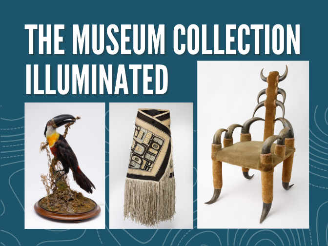 A word graphic for The Museum Collection Illuminated featuring images of a chair made out of numerous bison horns, a decorative blanket, wrapped as though being worn, and a taxidermized and mounted toucan bird.