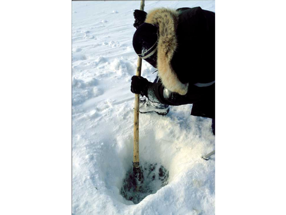 An individual kneeling over a whole cut into deep ice, and reaching in with a stick-like tool.