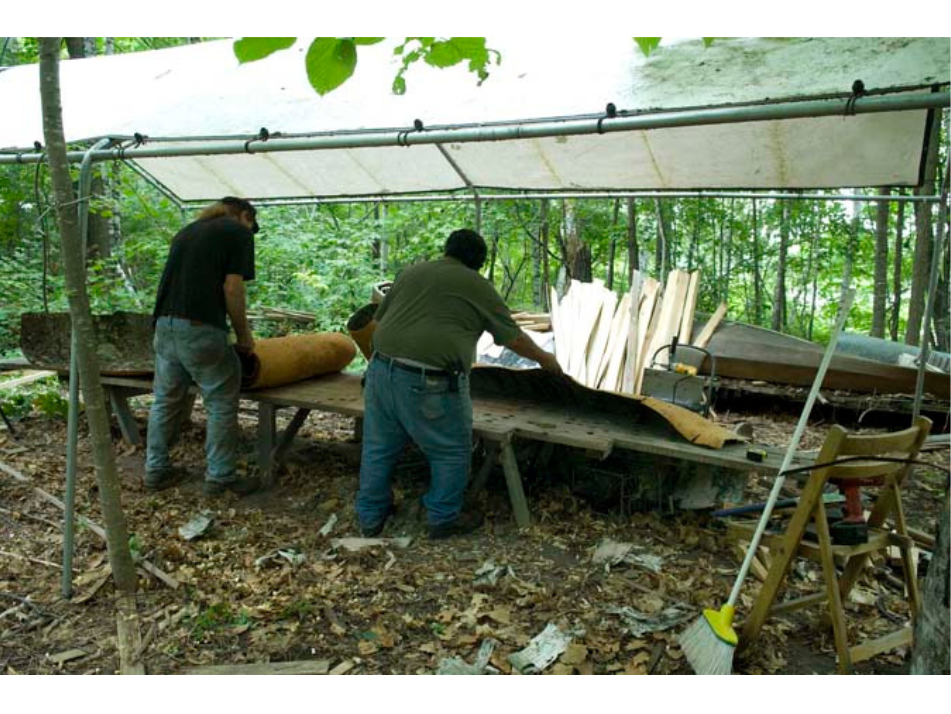 Two individuals under an open-sided tent, laying out stretches of birchbark on makeshift tables of plywood across saw horses.