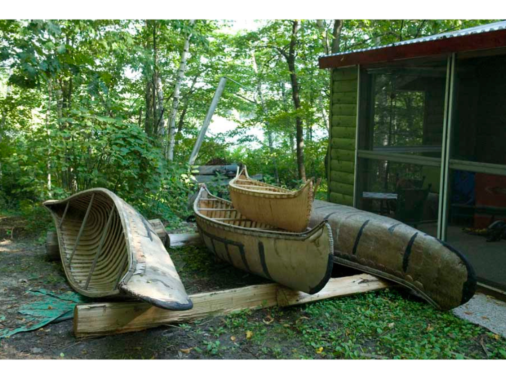 Four birchbark canoes laying on braces on a lawn.