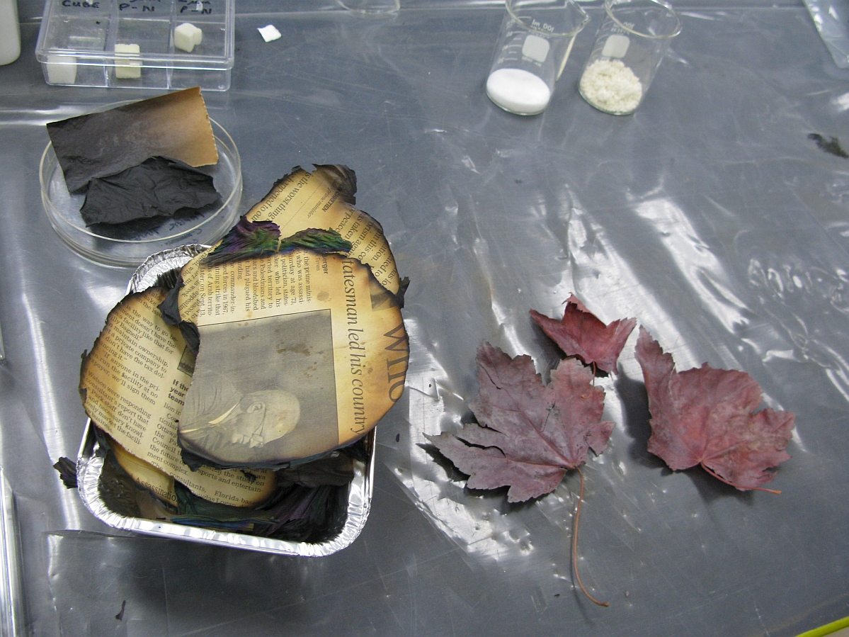 A small container with pieces of newspaper next to three red leaves. Both types of objects have charred edges.
