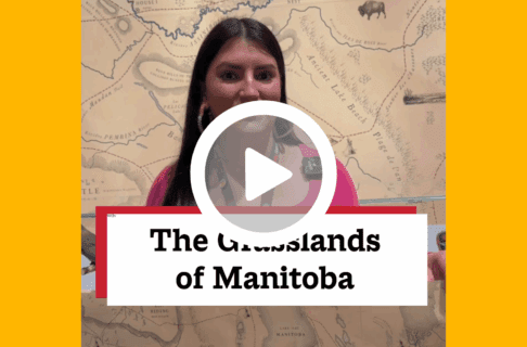 A screenshot of a video, an individual standing in front of a large map in the Prairies Gallery holds up a poster of the same map. There's a play button over the screenshot and overlaid text reads, "The Grasslands of Manitoba".