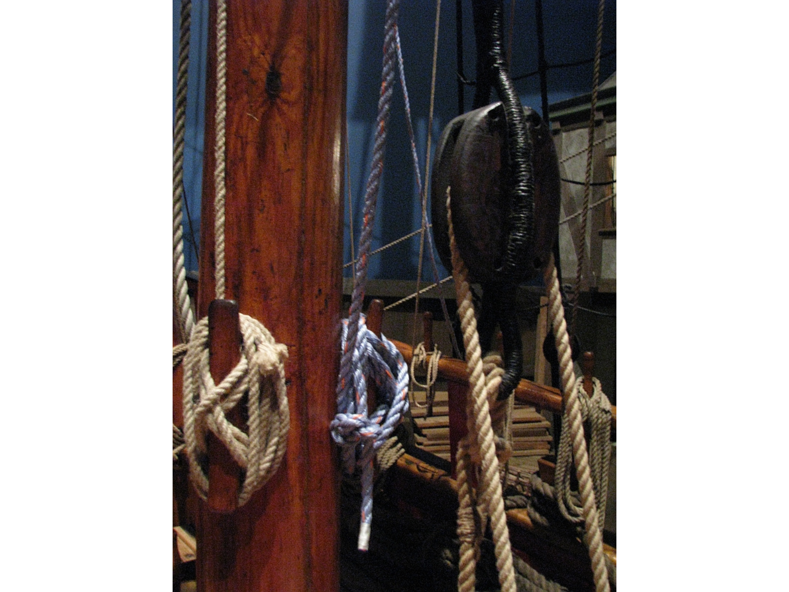 Several coils of rope around notches on a ship's deck. One of the rope's is a more blue-white colour than the others