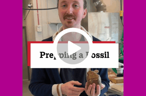 A screenshot of a video, an individual stands a museum lab holding up a fossil in a rock. There's a play button over the screenshot and overlaid text reads, "Prepping a Fossil".