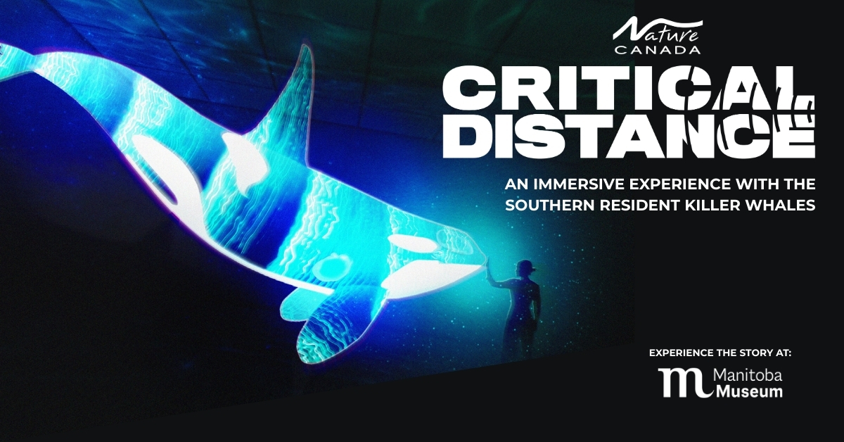 Promotional image for Nature Canada's