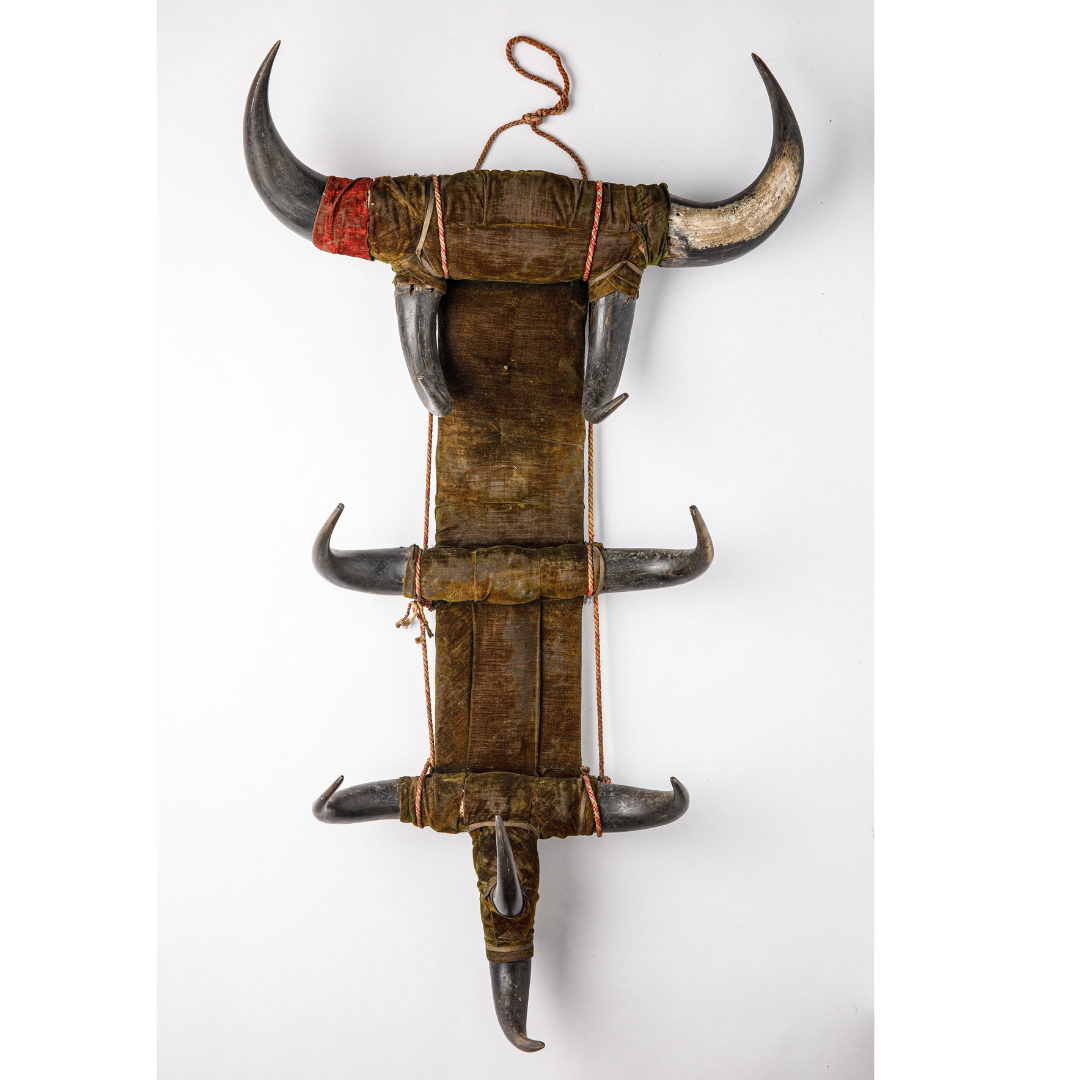 A wall-hanging coat rack made of five pairs of bison horns extending off the base at different angles and intervals.