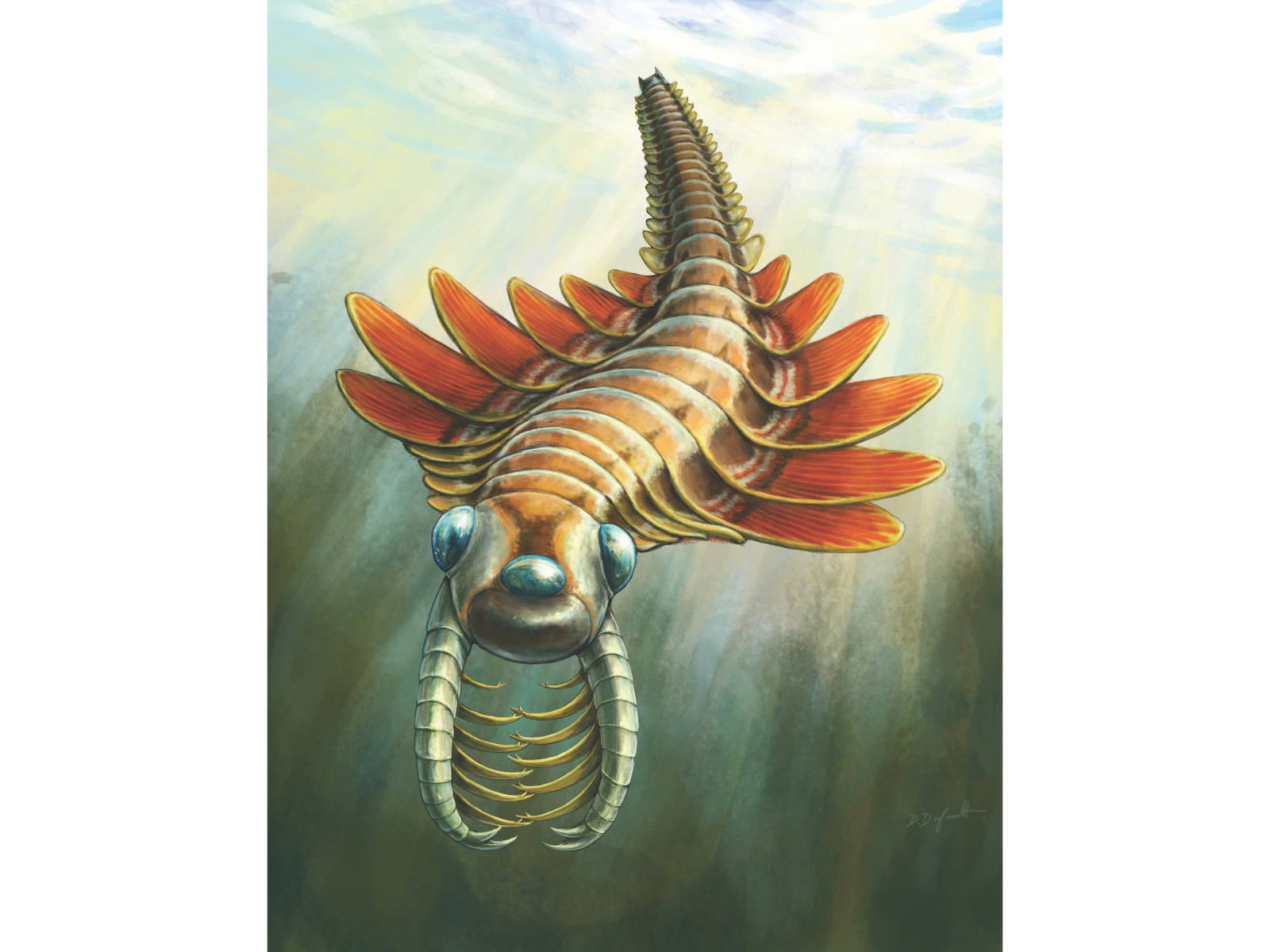 Artist's rendering of Mosura fentoni in life. The underwater creature has two long limbs covered in spines pointing out in front of it, three eyes, and a number of fin-like swimming flaps along the sides of its body.