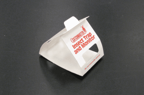 A small folded triangle shaped pest trap.