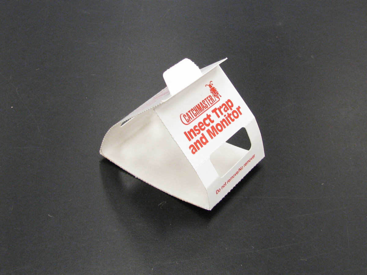 A small folded triangle shaped pest trap.