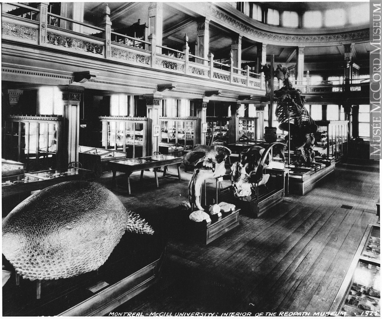 A black and white photo of an old museum. On the ground floor are various display cases as well as a large mounted skeleton posed on their hind legs at the far end of the room. In the foreground is a large four legged creature's skeleton with a bulbous, rounded shell. A second floor balcony encircles the room's perimeter.