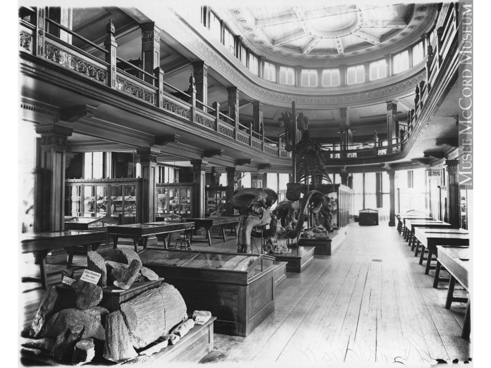 A black and white photo of an old museum. On the ground floor are various display cases as well as a large mounted skeleton posed on their hind legs. A second floor balcony encircles the room's perimeter.