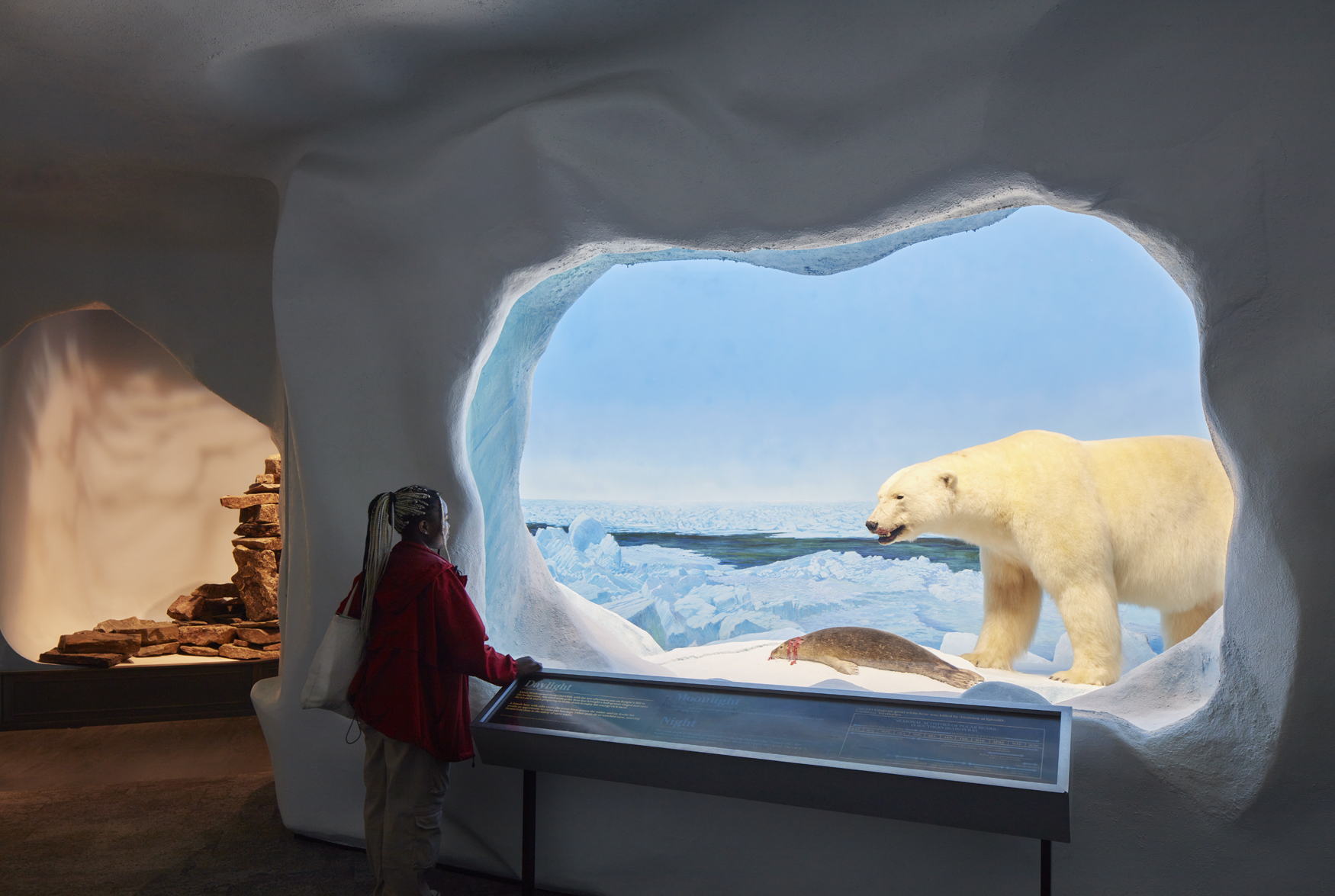 A child looking at a taxidermy polar bear that's situated behind a glass wall.