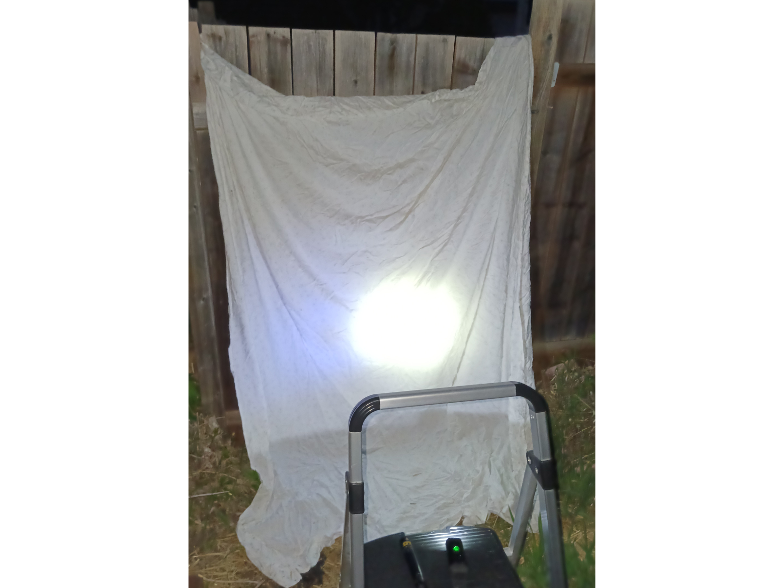 Night time, a white sheet hung over a fence with a small stepladder in front of it. On the stepladder, pointing towards the sheet, sit a flashlight and a UV flashlight.