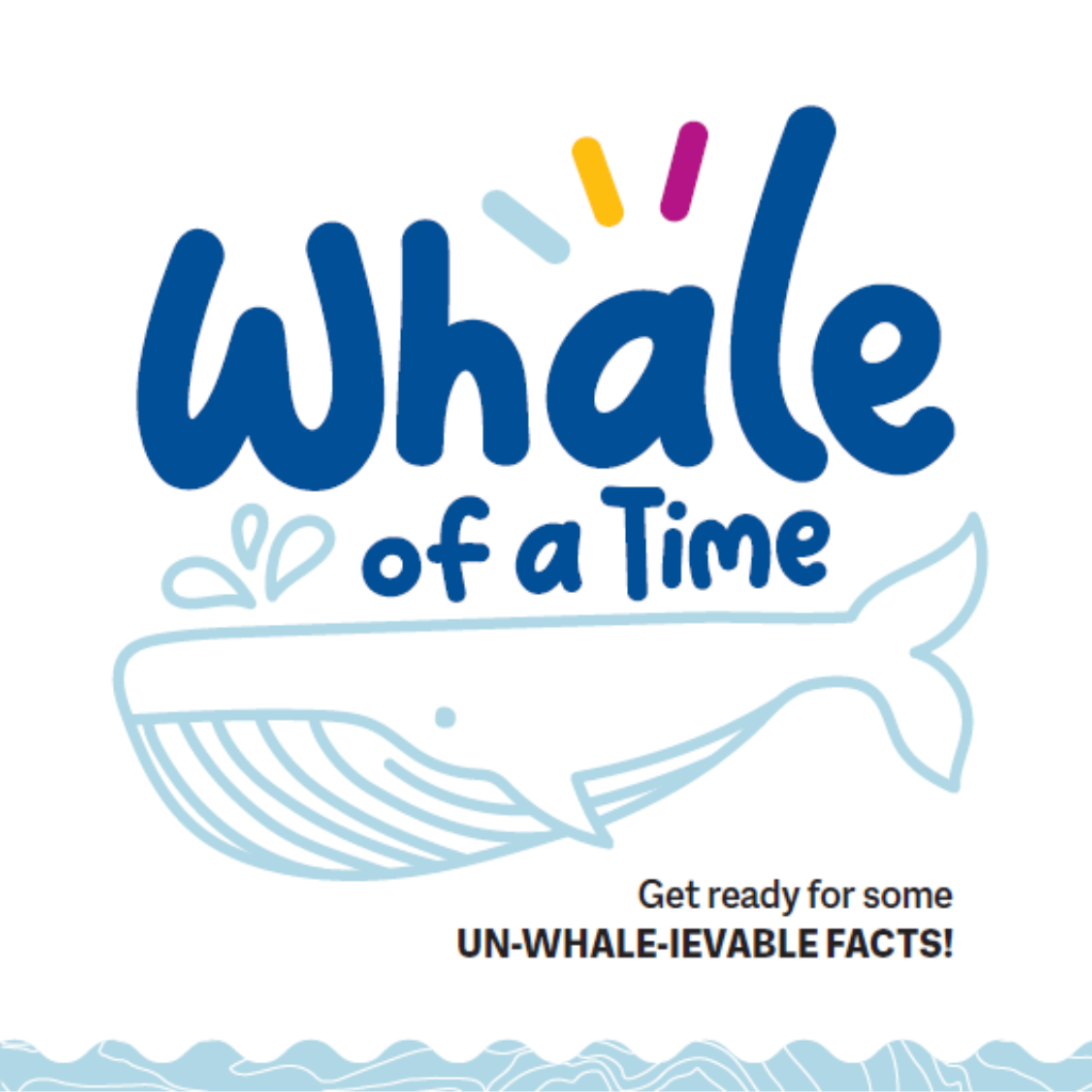 Word graphic with the title "Whale of a time" above a graphic of a large whale and waves. Text below reads, "Get ready for some UN-WHALE-IEVABLE facts!".