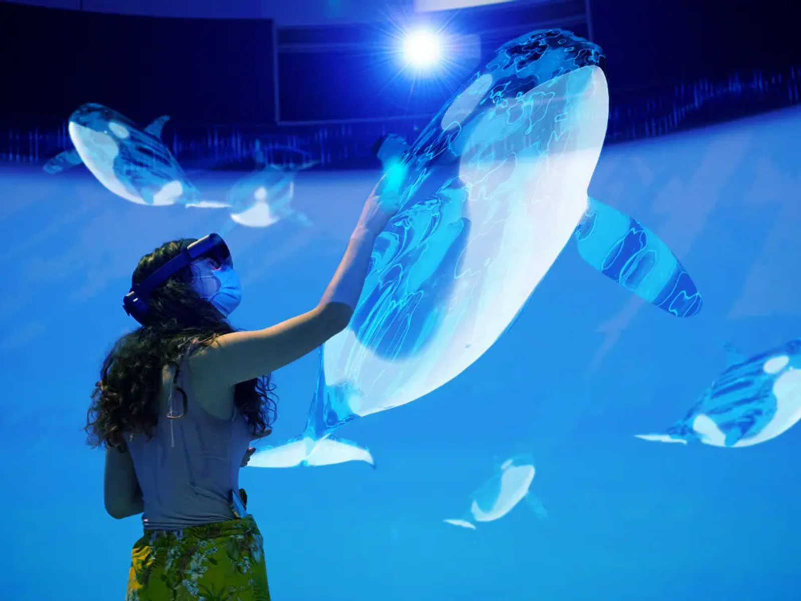 An individual wearing an AR headset reaching out to touch a projected image of an orca whale.