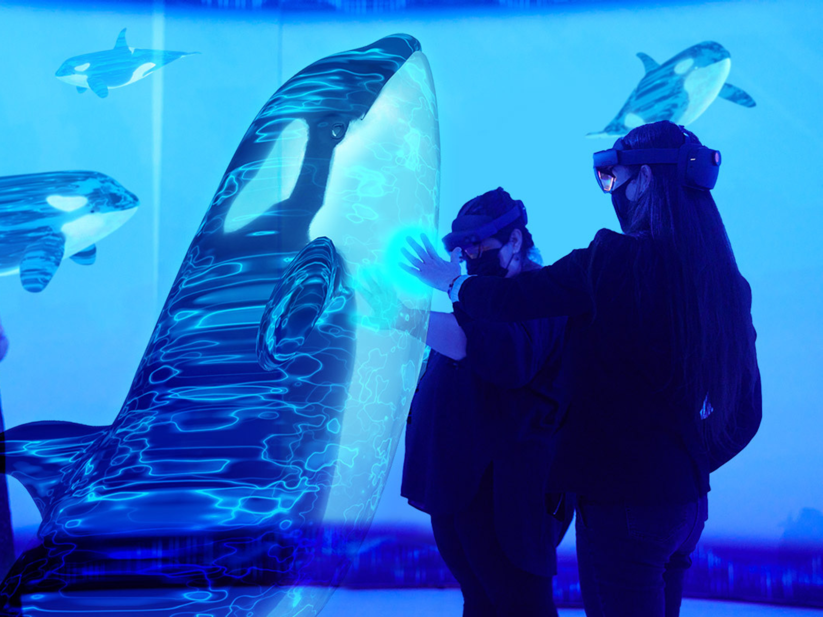 Two individuals wearing an AR headsets reaching out to touch a projected image of an orca whale.