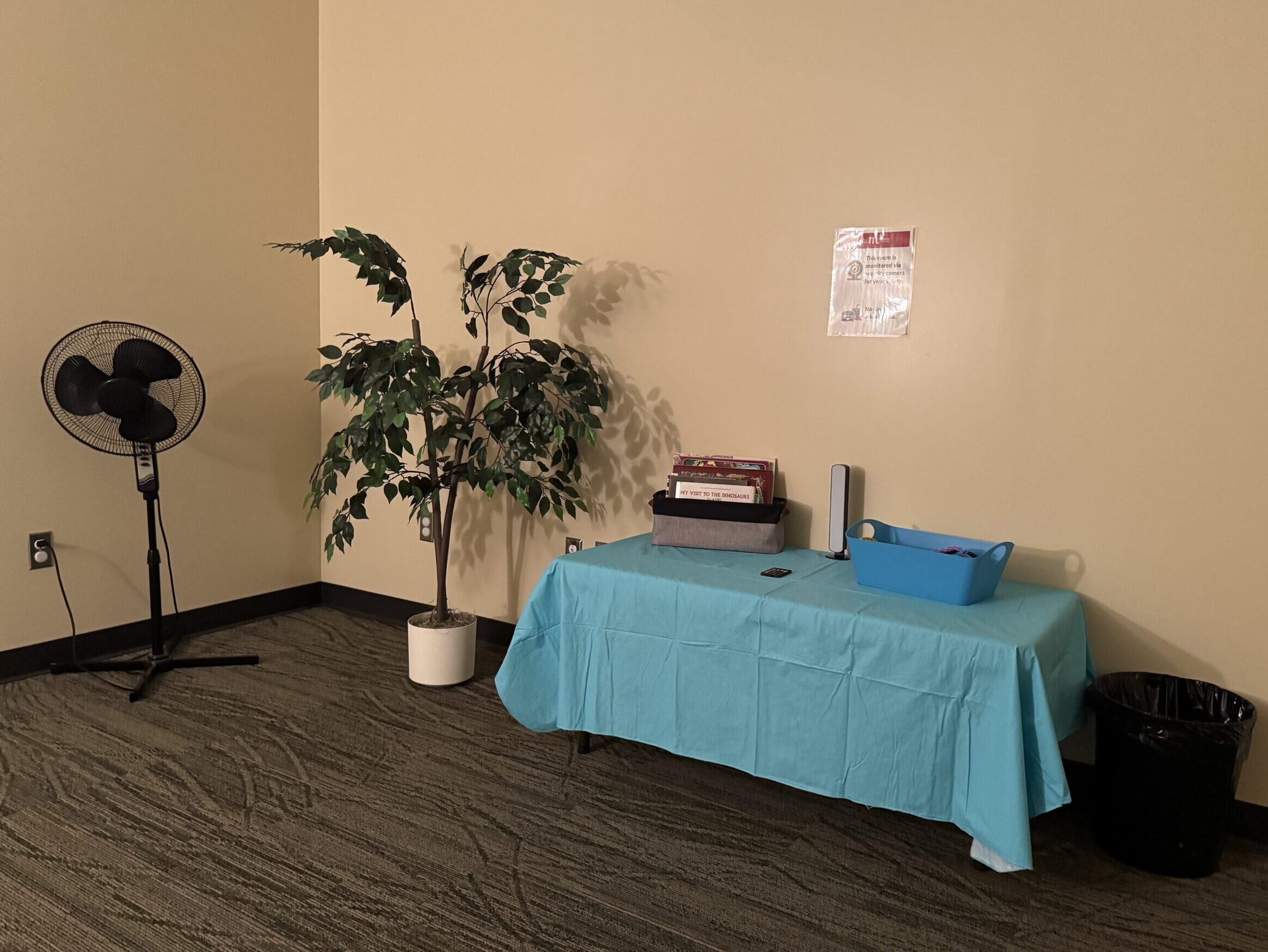 A softly lit room with a standing fan, a fake plant, and a low table covered by a blue table cloth. On the table is a basket with books and a container with fidget toys and sound cancelling headphones.
