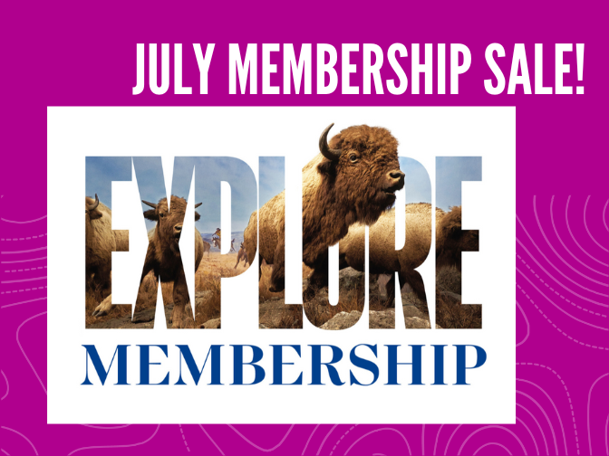 White text on a fuchsia background reads, "July membership Sale". Below the text is an image of the bison in the iconic Manitoba Museum bison diorama bursting out of the word EXPLORE with the word "membership" below.