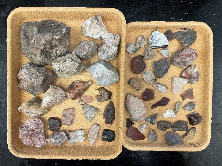 A selection of excavated artifacts, washed and clean, placed in two cream-coloured plastic basins.