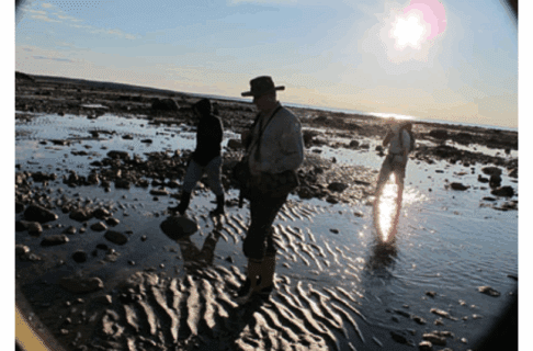 Silhouettes of three people walking through shallow water on a beach, backlit by the sun.